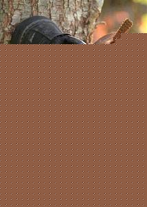 Click image for larger version

Name:	Used Shoe.jpg
Views:	1
Size:	39.8 KB
ID:	34506