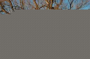Click image for larger version

Name:	image003.jpg
Views:	1
Size:	64.0 KB
ID:	34906